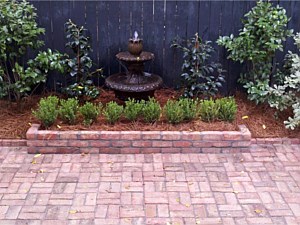 Landscape Renovation