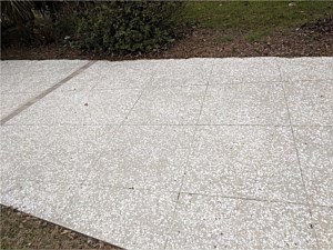 Oyster Shell Concrete